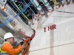 Firestopping fire protection applications.